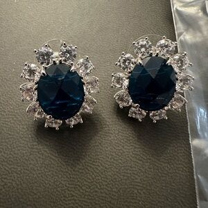 Elegant Blue and Silver Earrings